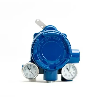 AVP307-RSD3A-XXXX-X Intelligent Valve Positioner 300 Series Models AVP300/AVP301/AVP302/307